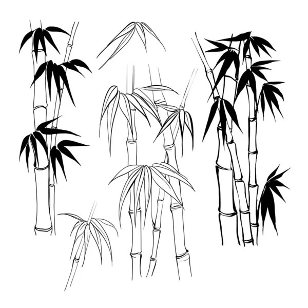 Set of tropical bamboo elements. Collection of palm leaves on a white background. Vector illustration. — ストックベクタ