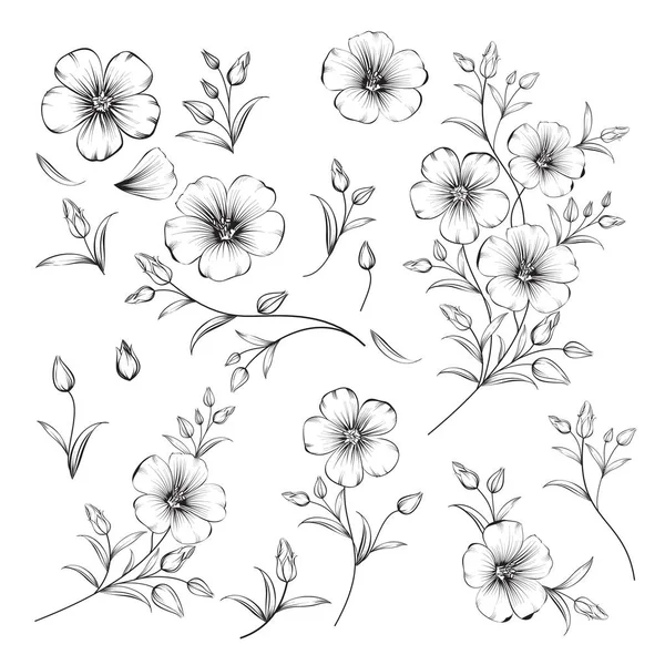 Set of linum flower elements. Collection of flax flowers on a white background. — Stock Vector