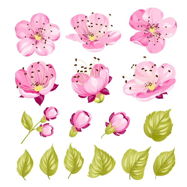 Collection of cherry flowers, set. Cherry blossom bundle. Black flowers of prunus isolated over white. Flowers contours collection. — Stock Vector