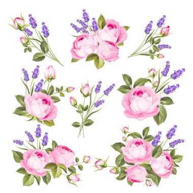Vector set of blooming flowers for your design. Spring, summer wedding romantic elegant date marriage symbol. Rose and Lavender garland, bouquet for your template, design of invitation card.