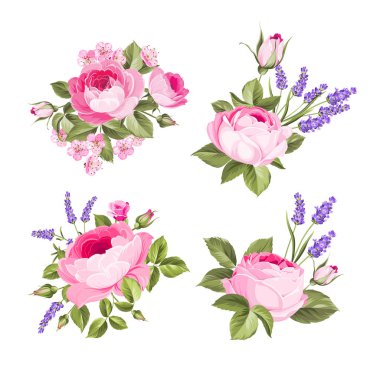 Vector set of blooming flowers for your design. Spring, summer wedding romantic elegant date marriage symbol. Rose and Lavender garland, bouquet for your template, design of invitation card.