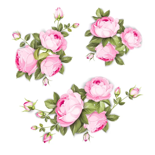 古色古香的花朵点缀在白色的背景上.结婚的玫瑰花束。花朵收集水彩画精美的手工画玫瑰.装饰古埃及玫瑰和花蕾. — 图库矢量图片