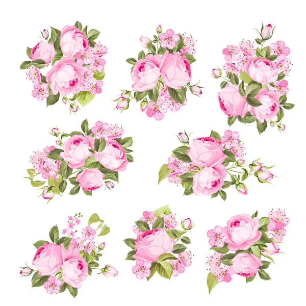 Vintage flowers set over white background. Wedding rose flowers bundle. Flower collection of watercolor detailed hand drawn roses. Vector set of blooming flowers for your design. — Stock Vector