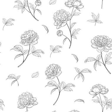 Şakayık çiçek elementlerinden oluşan kusursuz duvar kağıdı. Beyaz arkaplandaki elementlerden çiçek açan şakayıksız desenlerin dijital düz çizimi. Şakayık buketi. Dekorasyon beyaza karşı izole