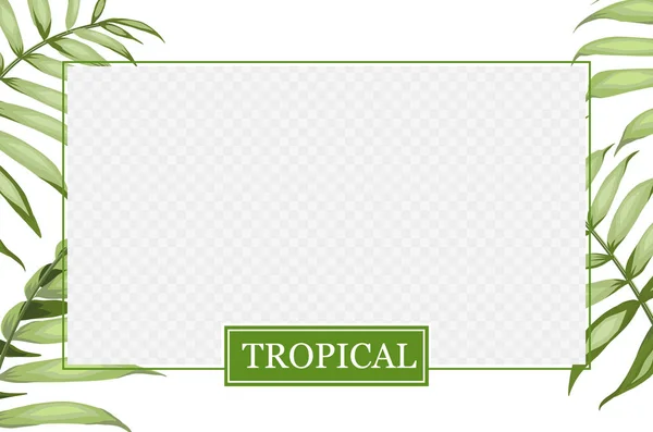 Transparent window with border green palm leaves. Cover design, transparent product package window. Regenerate cream label design with jungle leaf. Skincare design over the tropical border. — Stock Vector
