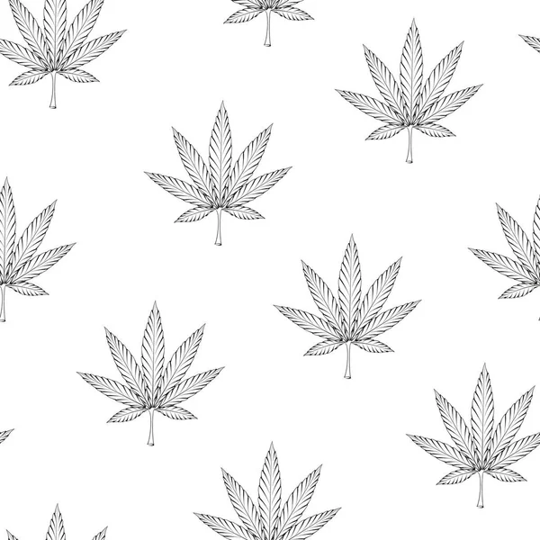 Modello senza soluzione di continuità di marijuana. Illustrazione vettoriale di foglie di cannabis isolata sul bianco. Modello di cannabis medica — Vettoriale Stock