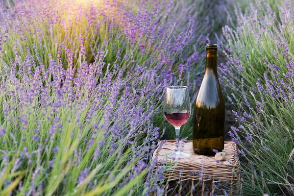 Delicious champagne over lavender flowers field. Violet flowers on the background. Sunset sky over lavender bushes. Close-up of flower field background. Design template for lifestyle illustration — Stock Photo, Image