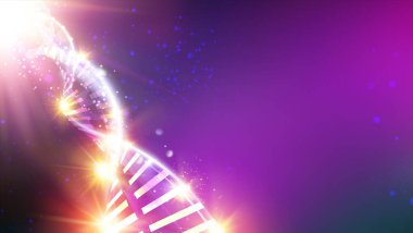 DNA molekülünün Scince çizimi. DNA genom ile mor arkaplan.