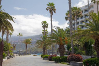 Puerto De La Cruz 'da Coronavirus salgını sırasında Lagos Martianes' in umumi havuzlarının yakınındaki boş caddeler ve oteller