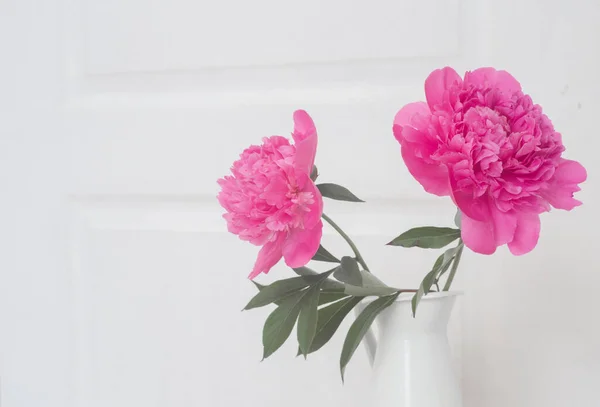 Bela flor de peônia para catálogo de interiores — Fotografia de Stock