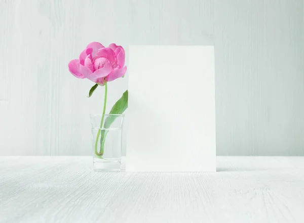 Beyaz kaynaklı şakayık çiçekli tebrik kartı.. — Stok fotoğraf