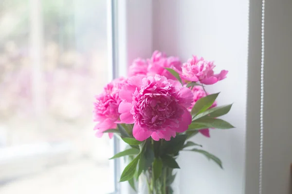 Pink peonies in glass vase. — Stock Photo, Image