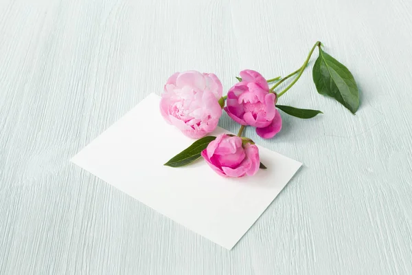 Drei Pfingstrosen-Blüten lagen auf der weißen leeren Einladungsliste über weißem Tischhintergrund. Skandinavischer einfacher Stil in der Provence — Stockfoto