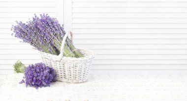 Sepette lavanta. Fransa 'nın Kaynak Bölgesi