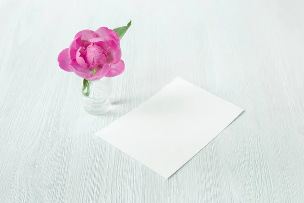 Şakayık çiçekleri süsleme ve davetiye kartı. — Stok fotoğraf
