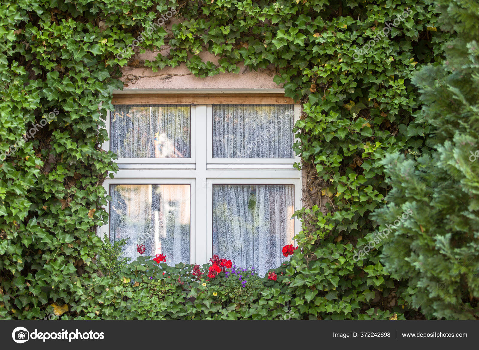 Dahlem Stock Photos Royalty Free Images Depositphotos