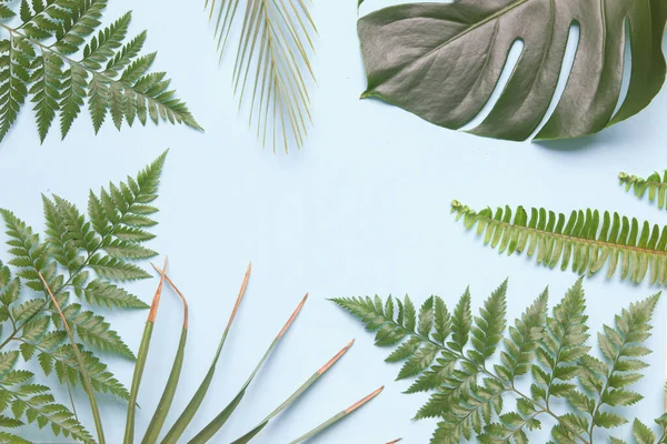 Tema Flatlay Eco con hojas de palma sobre fondo azul . —  Fotos de Stock