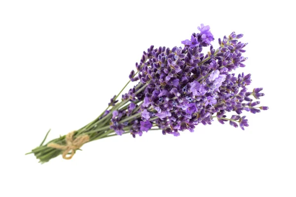 Buquê de flores de lavanda em close-up . — Fotografia de Stock