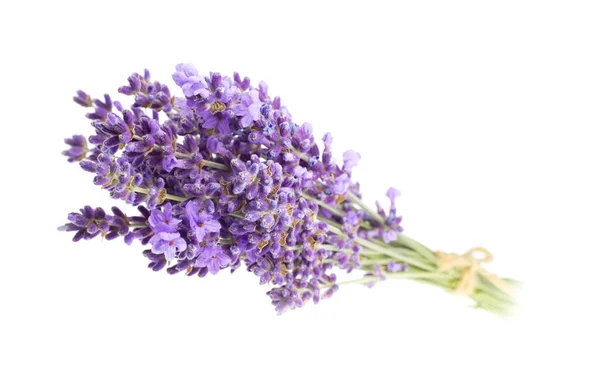 Ramo de flores de lavanda en primer plano . — Foto de Stock