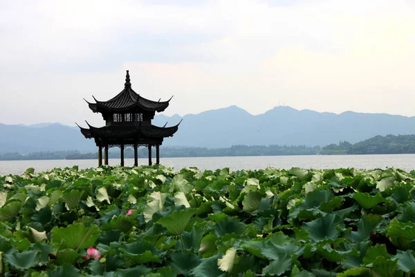 Paysage du parc Beihai avec pavillon et lotus en été à Pékin, Chine — Photo