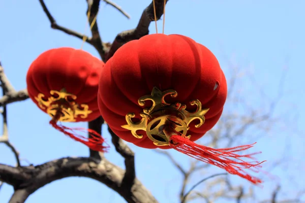 Rote Laterne und rosa Pfirsichblüte hängen im Baum — Stockfoto