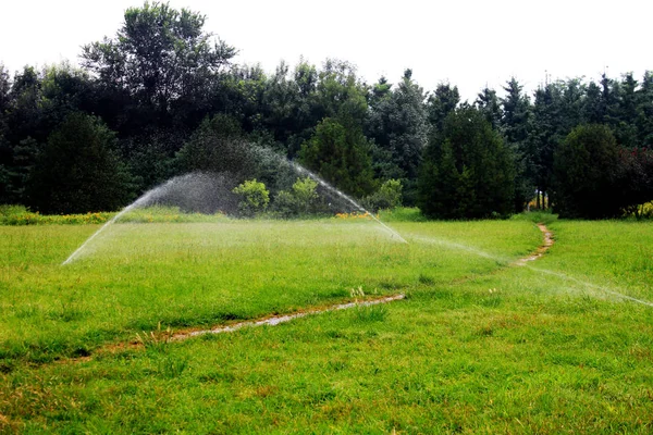 The Water spray in great meadow with water sprinkler — Stock Photo, Image