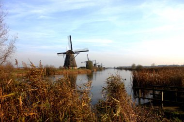 Windemill Köyü, nehir, çayır ve çiftlik manzara ile Hollanda, doğal kasabasında
