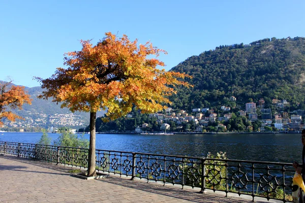 Lierna - Como Gölü - havadan görünümü — Stok fotoğraf