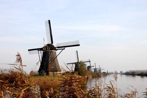 O vento na cidade de Kinderdijk, na Holanda, com a paisagem da aldeia, rio, prado e fazenda — Fotografia de Stock