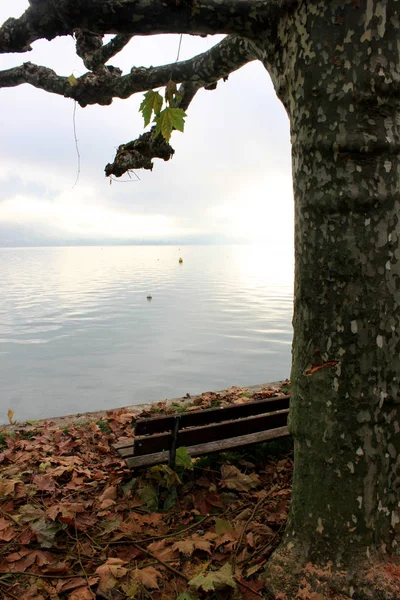 Un colorido otoño montaña lago árbol paisaje en Annecy lago francia —  Fotos de Stock