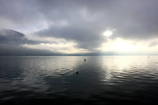 Lac bleu d'annécie avec un défilé de quelques grèbes et montagnes le matin d'hiver — Photo