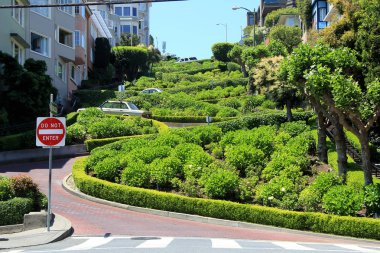 Lombard street Rus Hill, san francisco