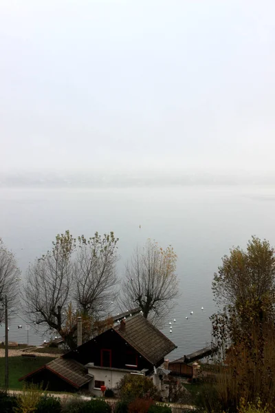 Blu lago di annecy con una sfilata di coppie di grebes e montagne la mattina d'inverno — Foto Stock