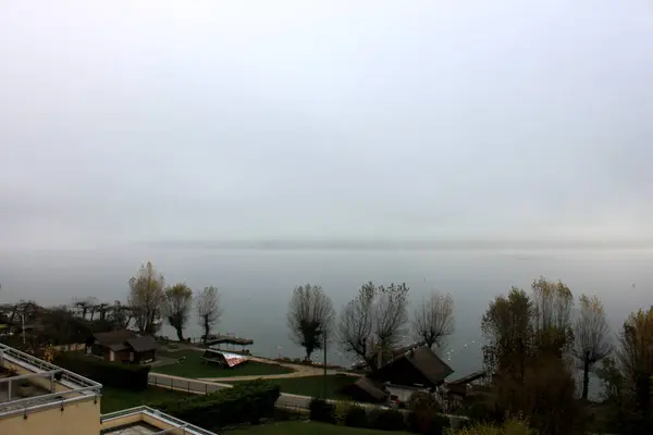 Blauw meer van annecy met een parade van paar futen en bergen op winterochtend — Stockfoto