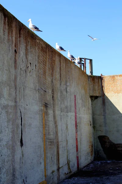 Outdoor of old prison building in Alcatraz, San Francisco CA — Stock Photo, Image