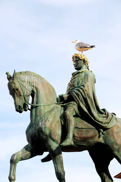 Estatua de Napoleón Bonaparte a caballo en la plaza Diamante, Ajaccio, Córcega, Francia — Foto de Stock