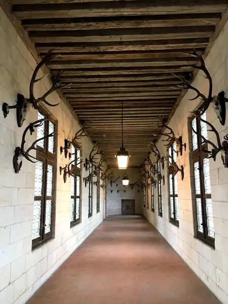 Chateau de Chambord France December 12th 2017 - a wall with deer horns attached in some sort of ornamental decoration in a rural area — Stock Photo, Image