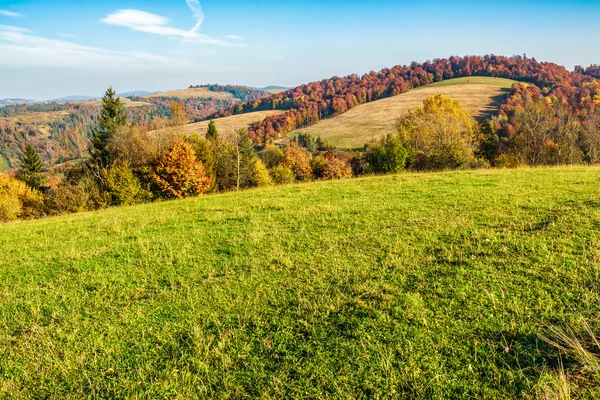 Árboles en el prado de otoño en las montañas —  Fotos de Stock