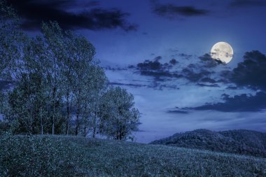 hillside çayır geceleri kaç ağaçta