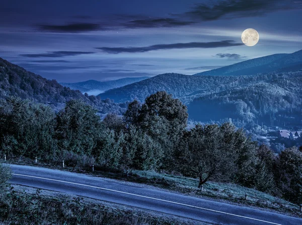 夜の山道近く丘側の木 — ストック写真