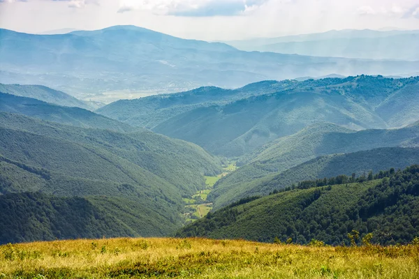 Bosque en una ladera de montaña — Foto de Stock