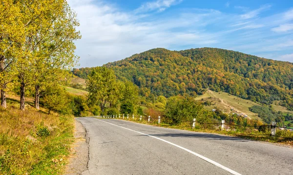 Strada attraverso la foresta nebbiosa in autunno — Foto Stock