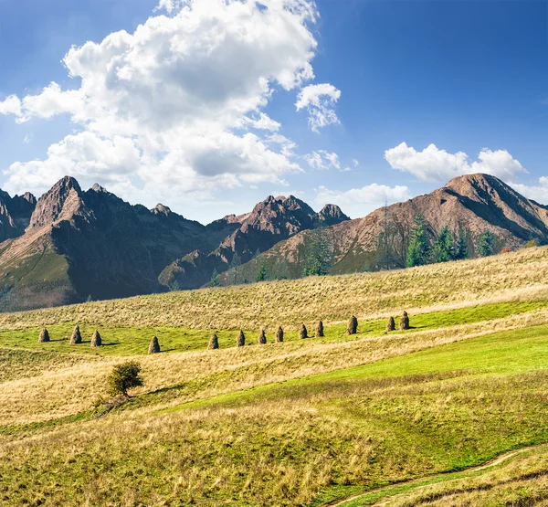 Yüksek dağların yakınındaki kırsal alanları — Stok fotoğraf