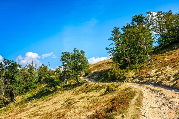 Mountain path uphill to the sky — Stock Photo, Image