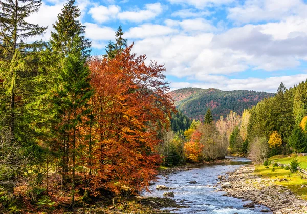 山区河流在秋天的森林中 — 图库照片