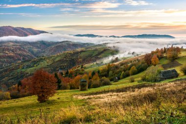 sisli ve sıcak gündoğumu Karpat Dağları'nda