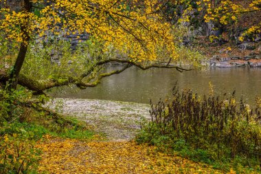 sonbahar ormandaki nehir dağ