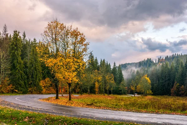Route à travers forêt d'automne — Photo