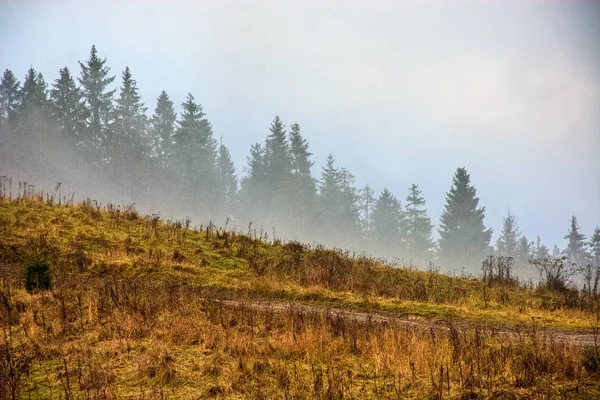 Niebla en el amanecer caliente en las montañas — Foto de Stock