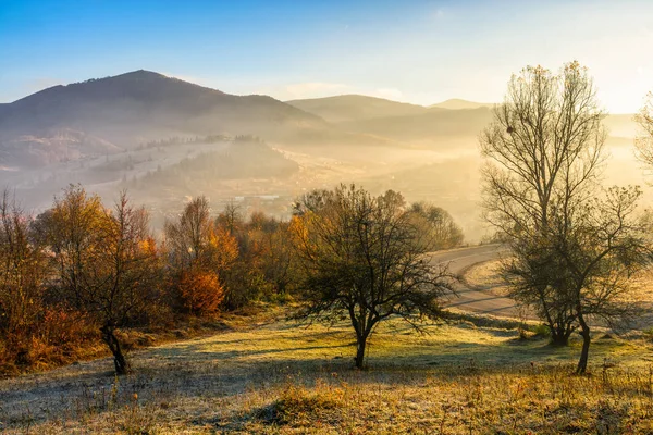 Forêt d'automne à flanc de colline dans le brouillard — Photo